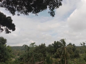 Sandalisa home stay